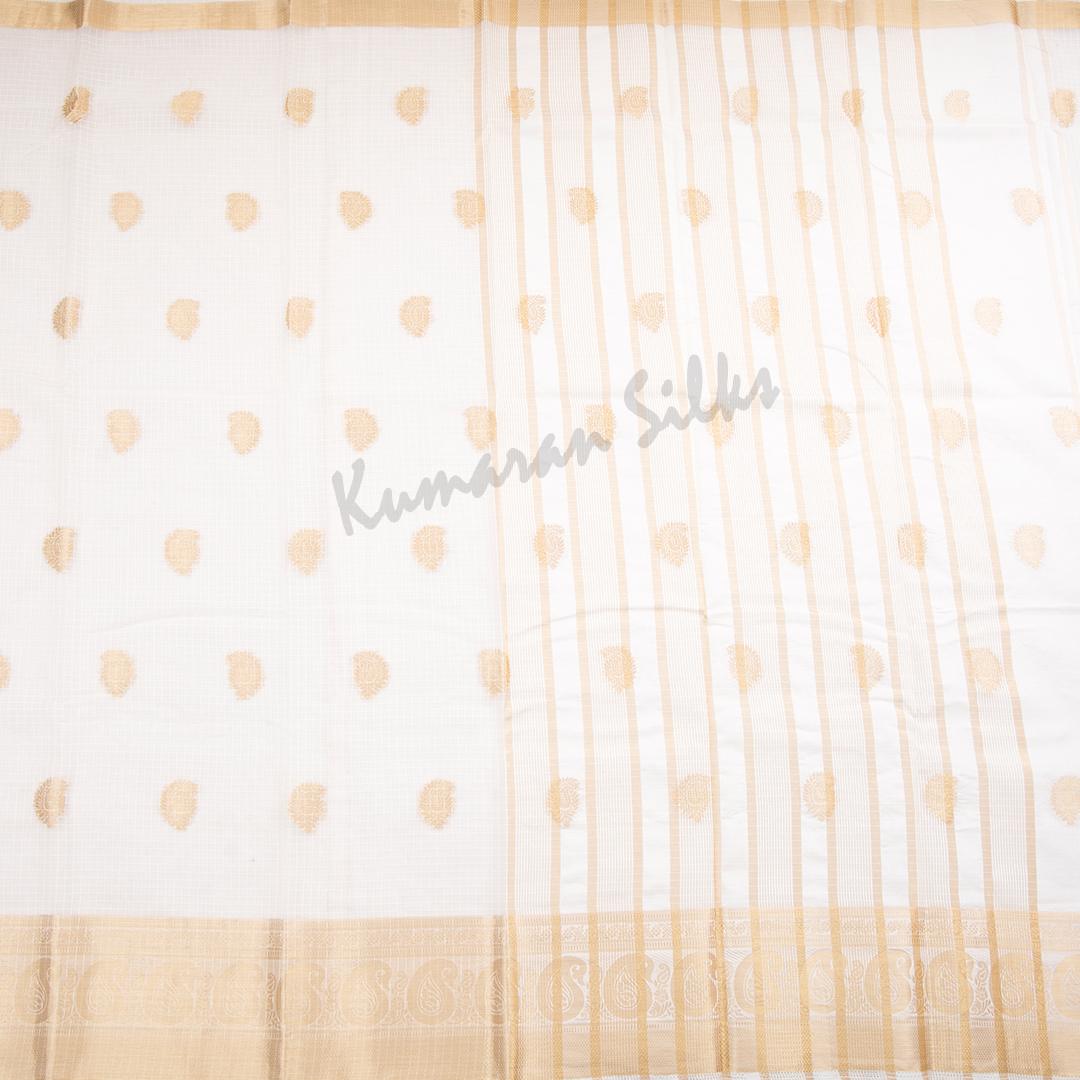 Tissue Cream Mango Zari Worked Saree