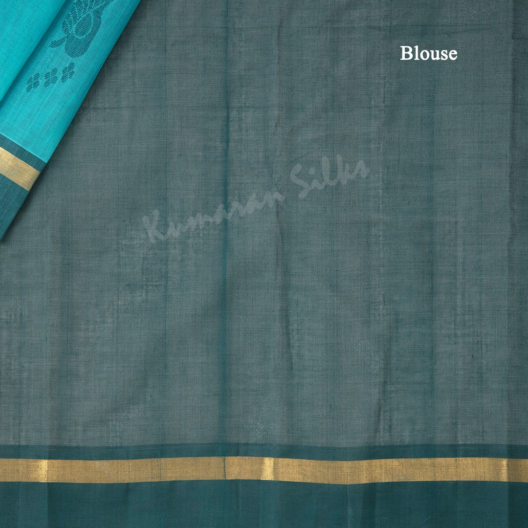 Kanchi Cotton Sky Blue Thread Worked Saree