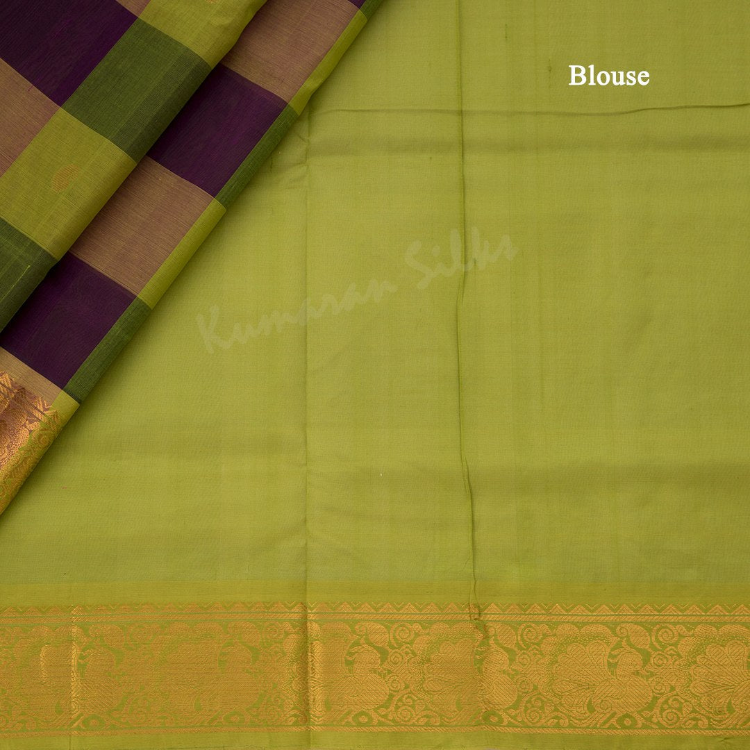 Amirthavarshni Silk Cotton Multi Colour Checked Saree 02