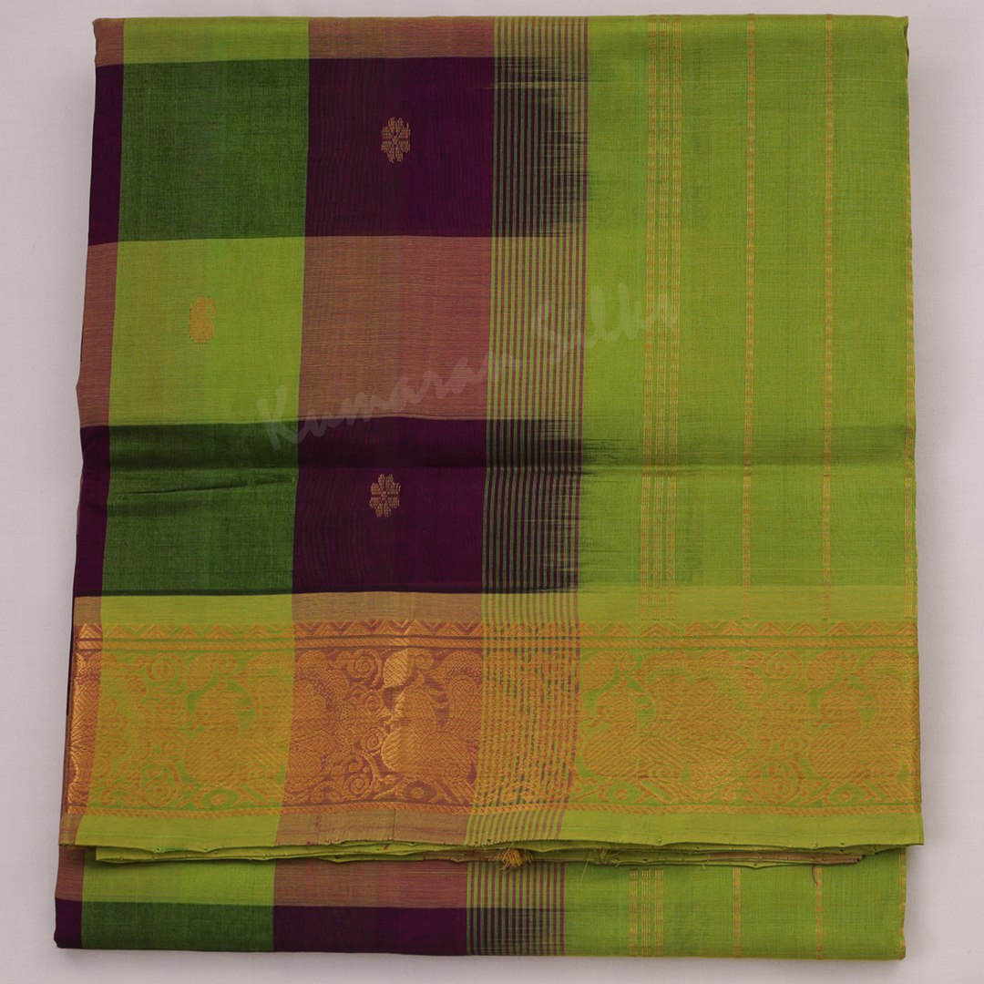 Amirthavarshni Silk Cotton Multi Colour Checked Saree 02