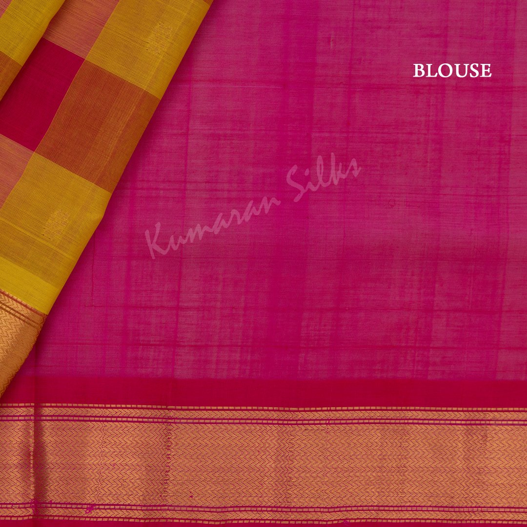 Silk cotton saree blue and light green with paalum pazhamun checked pa –  Cherrypick