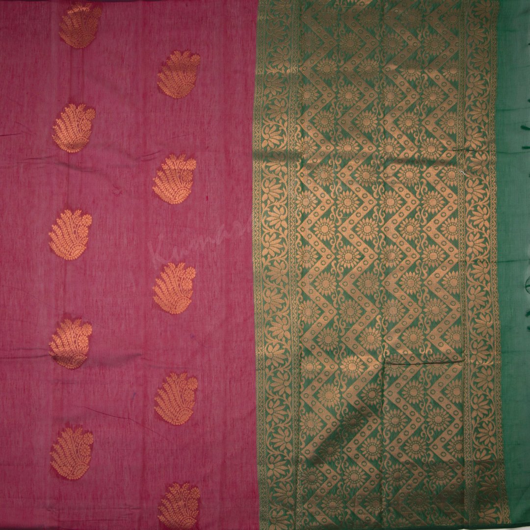 Light weighted Borderless Kanchipuram Sarees | AKS102